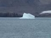 Iceberg in Drake Passage