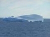 Iceberg in Drake Passage